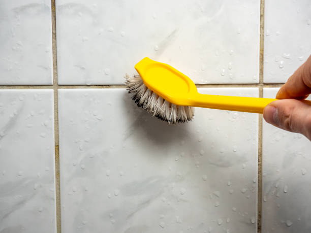  Madison, OH Mold Removal Pros